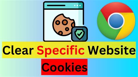 How to Clear a Specific Website Cache: A Journey Through Digital Dust and Forgotten Cookies